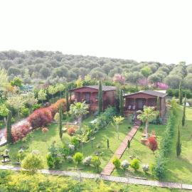 Wooden Luxury Villas