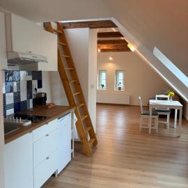 Apartments Airport Prague - Apartmány v domě se zahradou