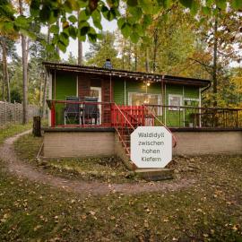 Waldidyll - Ruhe mitten im Wald