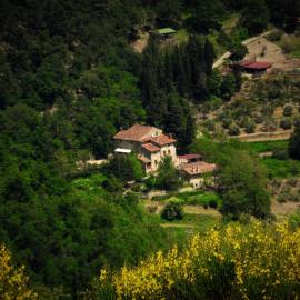 Fattoria il Poeta