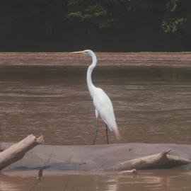 Riveras Del Magdalena