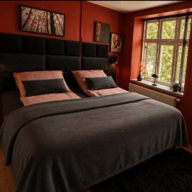 4Seasons - Vermillion Autumn Suites, hotel i Aalborg