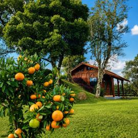Refúgio Rural Ipê Lago e Fogueira ao Ar Livre, hotel in Campo Alegre