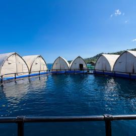Reef Resort - Samal Island View Unit C4, hotel em Kaputian