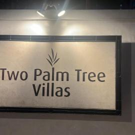 one palm tree villas