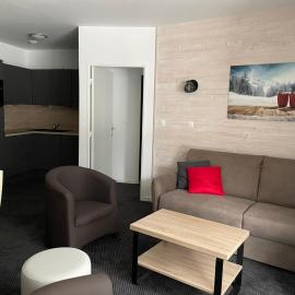 Gourette - Appartement 8 pers, 58m², piscine, animaux admis - FR-1-860-12