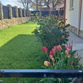 Vila Coralia, hotel Schituban