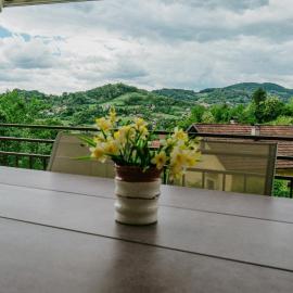Holiday Home Nina, hotel in Tuheljske Toplice