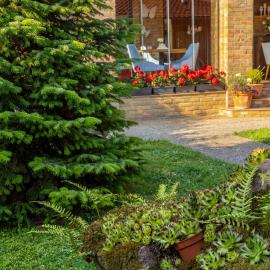 Villa Diva, готель у місті Budureasa