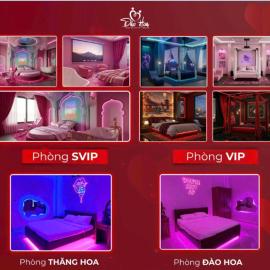 Đào Hoa Love Hotel Đà Lạt, hotel in Da Lat