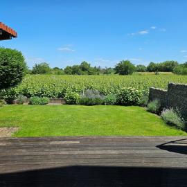 Pfälzerglück Ferienhaus direkt am Rebenmeer, hotel in Edesheim