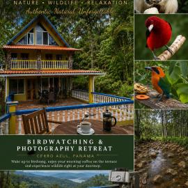 La Husseyenda Birdwatchers Paradise