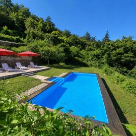 Villa Felix with spectacular pool in green oasis, hotel in Opatija