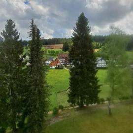 Ferienwohnung im Schwarzwald mit Blick ins Grüne und Balkon