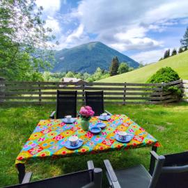 Ferienhaus Sara - Kärnten Card im Sommer inklusive, hotel in Bad Kleinkirchheim