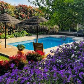Countryside Villa near Porto – hotel w mieście Paredes