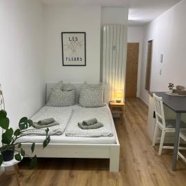 Gemütliche Wohnung in Passau، فندق في باساو