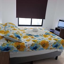 Beautiful house 2 bedroom wifi TV，Caucel的飯店