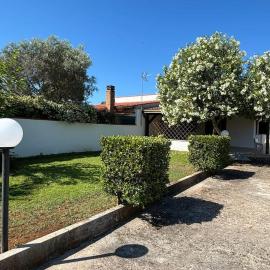 Villa Indipendente "Coco' "50mt dal mare senza attraversamenti, posizionata tra San Felice Circeo e Terracina, Ponza e Palmarola fronte spiaggia 22miglia