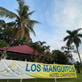Restaurante - Hotel Los Manguitos