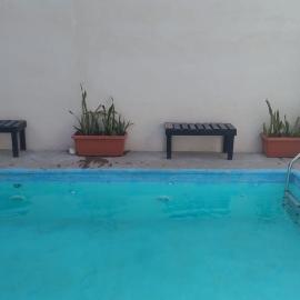 El nogalito