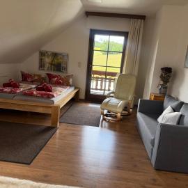 Ferienwohnung mit großem Balkon und Blick in den Taunus