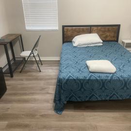 Dolphin Room, hotel in Tampa