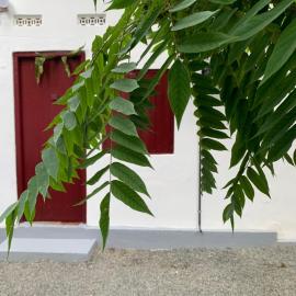 Lathu - zen Stay Hotal, хотел в Тринкомале