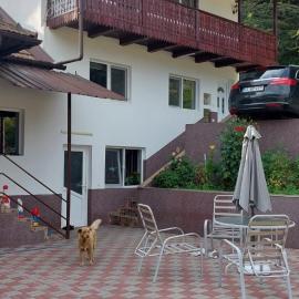 Casa ALBERT, hotell i Brezoi