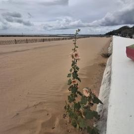 Maison dans résidence avec piscine