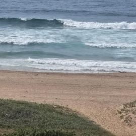 Waves &Views