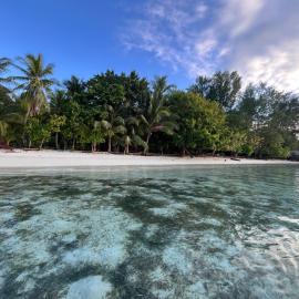 Kemmi Homestay Raja Ampat, hotel in Merpati