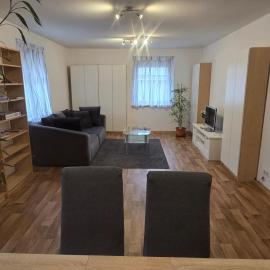 Spacious apartment about 90 sqm, Hotel in Freital