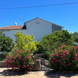 Villa Rossi: Krk şehrinde bir otel
