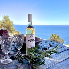 Unique Robinson-House with breathtaking seaview, hotel a Podšpilje