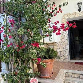Bouganville House, hotel a Nettuno