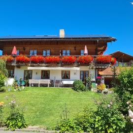 Schwalbennest