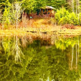 Lookout Cabin, Hotel in Barton