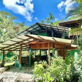 Casa Aire Libre - Jungle immersion - Natural pool - Waterfall