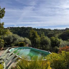 The Green House 5