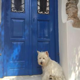 Blue & White: An Absolute Aegean dream house, hotel em Galini
