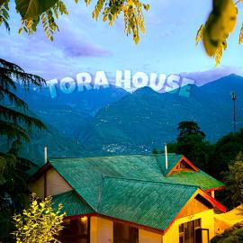 Tora House, hotel v destinaci Nagar