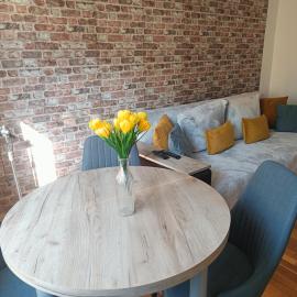 Apartament Loft