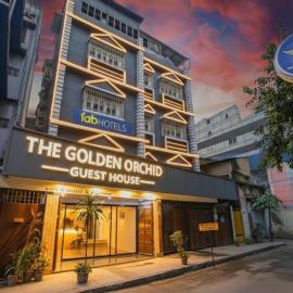 The Golden Orchid
