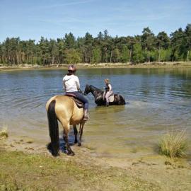 Camping Amable