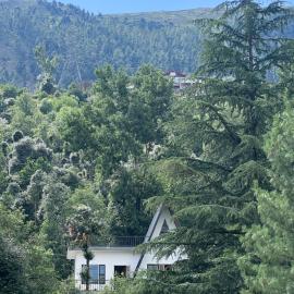 Kūd में, होटल Countryside forest village