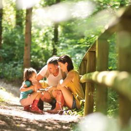 Castle Brake Holiday Park, hotel in Woodbury