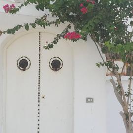 Residence Oasi Zenit