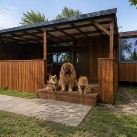 MAZI HOUSE Jastarnia, hotel i Jastarnia