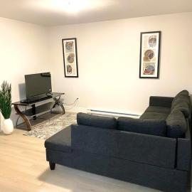 1 bedroom apartment in basement close to Airport